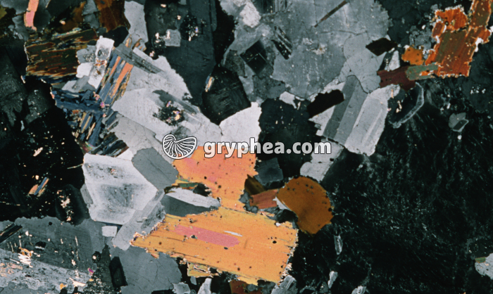 Granite LPA x3 - gryphea.com